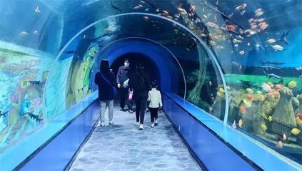 許昌水族館vs祥龍魚場(chǎng)（許昌水族館與祥龍魚場(chǎng)各有側(cè)重） 全國(guó)水族館企業(yè)名錄 第4張