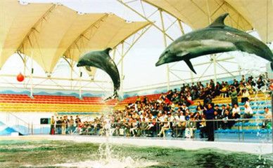 唐山水族館vs祥龍魚(yú)場(chǎng)（唐山水族館和祥龍魚(yú)場(chǎng)哪個(gè)好） 全國(guó)水族館企業(yè)名錄 第4張