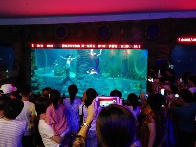 無錫水族館vs祥龍魚場（無錫水族館與祥龍魚場之間的差異之前，我們需要明確兩者的基本信息和特點）