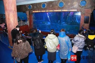 無錫水族館vs祥龍魚場（無錫水族館與祥龍魚場之間的差異之前，我們需要明確兩者的基本信息和特點）