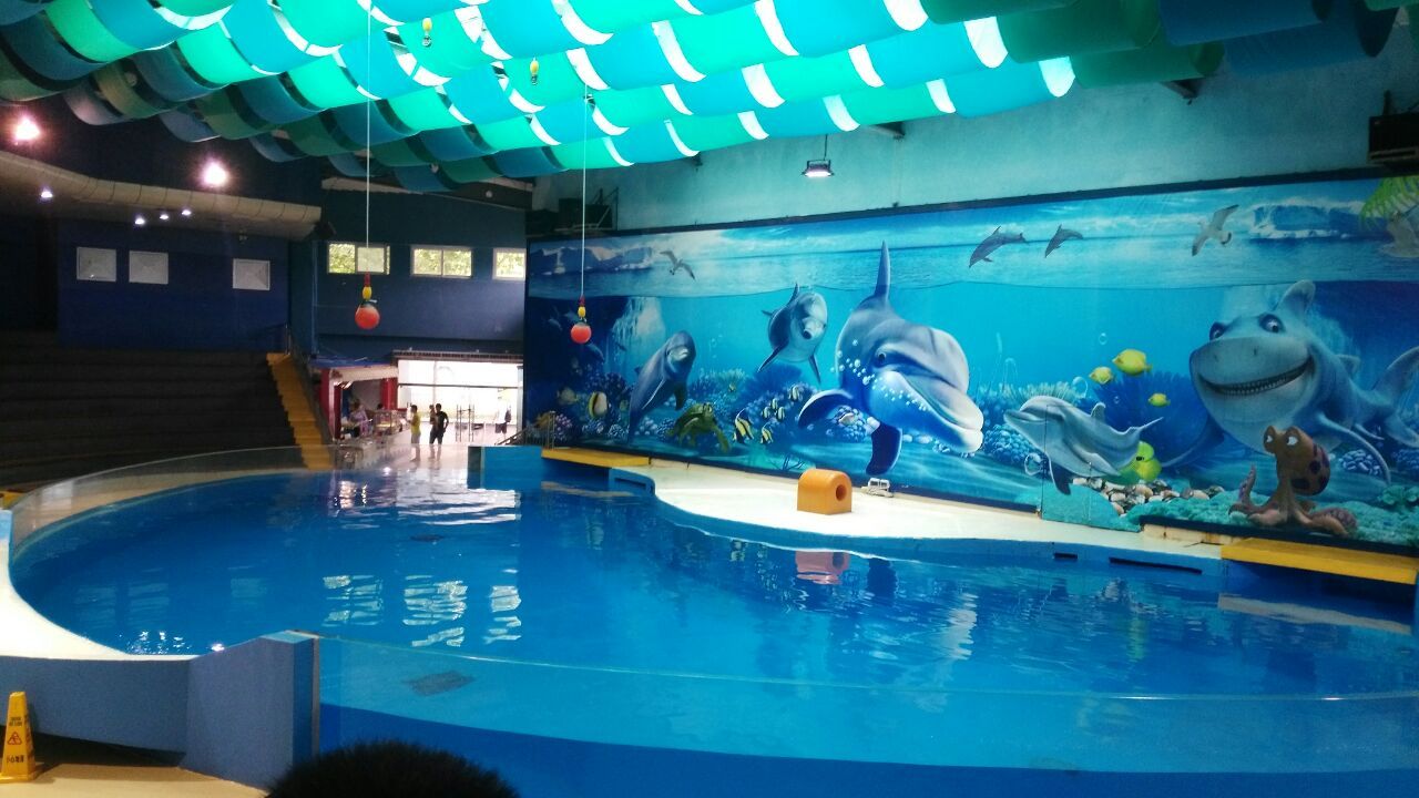 南京水族館vs祥龍魚場（南京水族館和祥龍魚場各有什么區(qū)別？） 全國水族館企業(yè)名錄 第4張