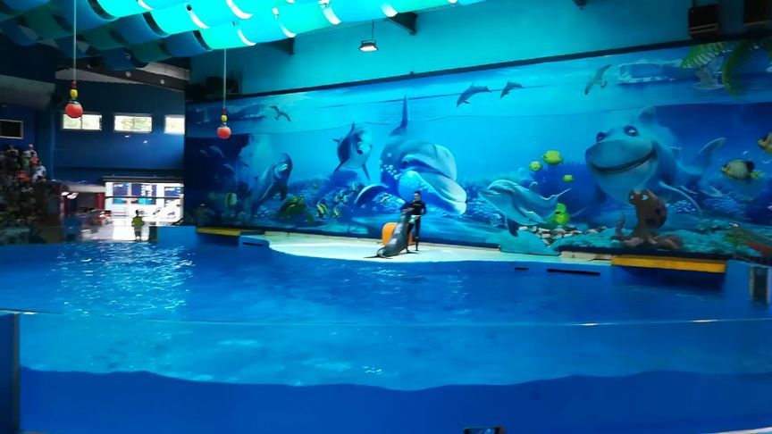 南京水族館vs祥龍魚場（南京水族館和祥龍魚場各有什么區(qū)別？） 全國水族館企業(yè)名錄 第3張