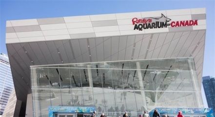 廣州水族館vs祥龍魚場（廣州水族館與祥龍魚場有什么區(qū)別？） 全國水族館企業(yè)名錄 第3張