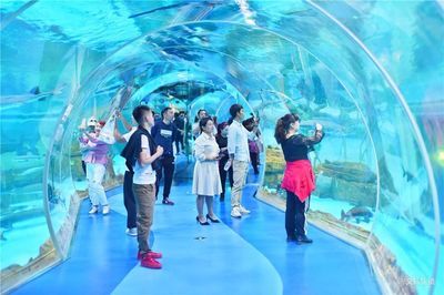 普洱水族館vs祥龍魚場（普洱水族館與祥龍魚場各有特色） 全國水族館企業(yè)名錄 第1張