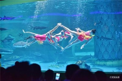 普洱水族館vs祥龍魚場（普洱水族館與祥龍魚場各有特色） 全國水族館企業(yè)名錄 第2張