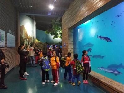 佳木斯水族館vs祥龍魚場（佳木斯水族館與祥龍魚場之間的差異之前，我們需要明確兩者的信息） 全國水族館企業(yè)名錄 第2張