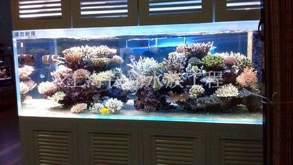 佳木斯水族館vs祥龍魚場（佳木斯水族館與祥龍魚場之間的差異之前，我們需要明確兩者的信息） 全國水族館企業(yè)名錄 第1張