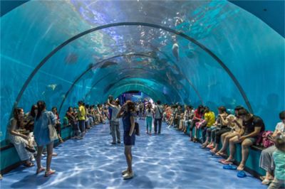 石家莊水族館vs祥龍魚場(chǎng)（石家莊水族館與祥龍魚場(chǎng)各有其特色和側(cè)重點(diǎn)）