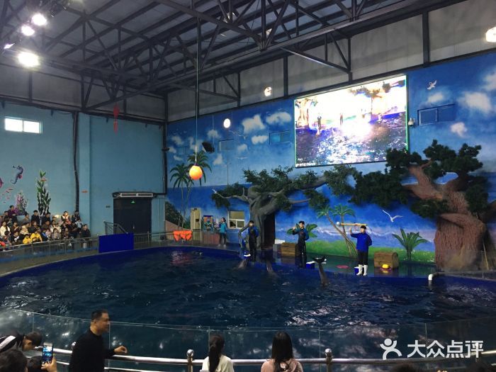 石家莊水族館vs祥龍魚(yú)場(chǎng)（石家莊水族館與祥龍魚(yú)場(chǎng)各有其特色和側(cè)重點(diǎn)） 全國(guó)水族館企業(yè)名錄 第5張