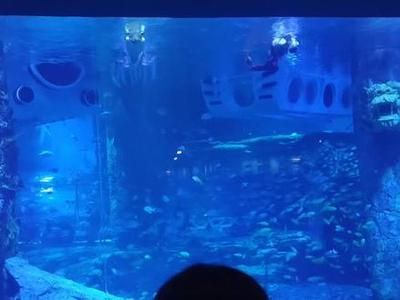 襄樊水族館vs祥龍魚場（探討襄樊水族館與祥龍魚場之間的差異之前需要明確兩者的基本信息） 全國水族館企業(yè)名錄 第2張