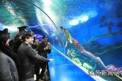 鹽城水族館vs祥龍魚場（鹽城水族館與祥龍魚場之間的差異之前，我們需要明確兩者的主要業(yè)務(wù)和特點） 全國水族館企業(yè)名錄 第4張