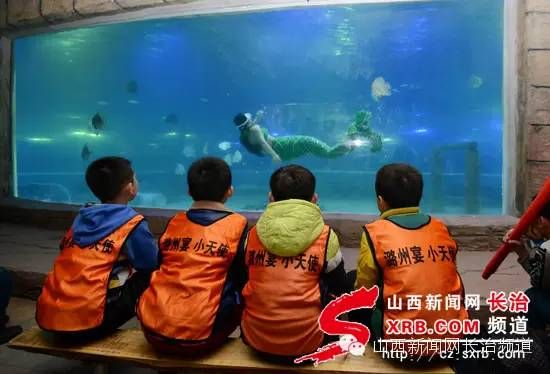 長(zhǎng)治水族館vs祥龍魚場(chǎng)（探討長(zhǎng)治水族館與祥龍魚場(chǎng)之間的差異之前需要明確兩者的基本信息） 全國水族館企業(yè)名錄 第3張