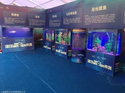 長(zhǎng)治水族館vs祥龍魚場(chǎng)（探討長(zhǎng)治水族館與祥龍魚場(chǎng)之間的差異之前需要明確兩者的基本信息） 全國水族館企業(yè)名錄 第4張