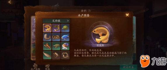 定西龍魚vs祥龍魚場（祥龍魚場和定西龍魚哪個好） 全國水族館企業(yè)名錄 第1張