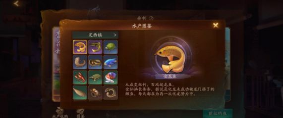 定西龍魚vs祥龍魚場（祥龍魚場和定西龍魚哪個好） 全國水族館企業(yè)名錄 第2張