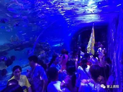 資陽(yáng)水族館vs祥龍魚場(chǎng)（資陽(yáng)市雁江區(qū)有兩個(gè)知名的水族館） 全國(guó)水族館企業(yè)名錄 第2張