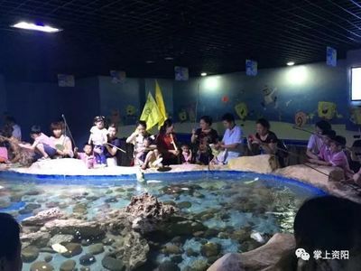 資陽(yáng)水族館vs祥龍魚場(chǎng)（資陽(yáng)市雁江區(qū)有兩個(gè)知名的水族館） 全國(guó)水族館企業(yè)名錄 第3張