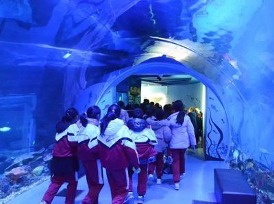 吉林水族館vs祥龍魚場（吉林水族館與祥龍魚場有什么區(qū)別？） 全國水族館企業(yè)名錄 第5張