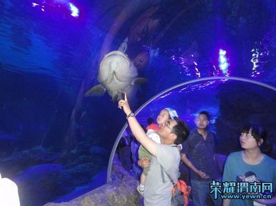 渭南水族館vs祥龍魚(yú)場(chǎng)（渭南水族館和祥龍魚(yú)場(chǎng)各有側(cè)重） 全國(guó)水族館企業(yè)名錄 第4張