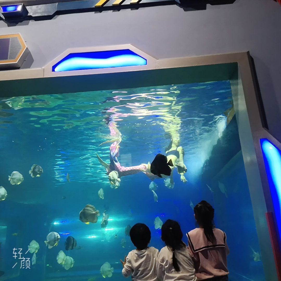 湘潭水族館vs祥龍魚場（探討湘潭水族館與祥龍魚場之間的差異時需要明確兩者的主要業(yè)務和特點） 全國水族館企業(yè)名錄 第3張