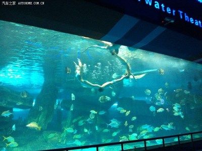 濟南水族館vs祥龍魚場（探討濟南水族館與祥龍魚場之間的差異，我們需要明確兩者的基本信息） 全國水族館企業(yè)名錄 第5張