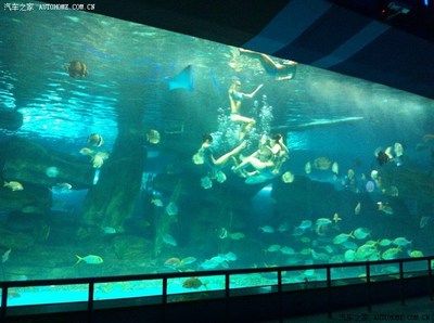 濟南水族館vs祥龍魚場（探討濟南水族館與祥龍魚場之間的差異，我們需要明確兩者的基本信息） 全國水族館企業(yè)名錄 第4張