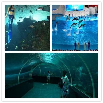 連云港水族館vs祥龍魚(yú)場(chǎng)（探討連云港水族館與祥龍魚(yú)場(chǎng)之間的差異之前需要明確兩者的基本信息和特點(diǎn)） 全國(guó)水族館企業(yè)名錄 第2張