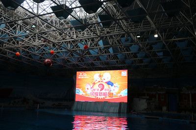 連云港水族館vs祥龍魚(yú)場(chǎng)（探討連云港水族館與祥龍魚(yú)場(chǎng)之間的差異之前需要明確兩者的基本信息和特點(diǎn)） 全國(guó)水族館企業(yè)名錄 第5張