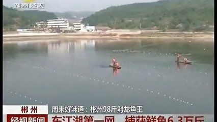 郴州龍魚vs祥龍魚場（探討郴州龍魚與祥龍魚場的差異之前，我們需要明確兩者所代表內(nèi)容） 全國水族館企業(yè)名錄 第2張