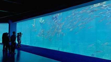 秦皇島水族館vs祥龍魚場(chǎng)（秦皇島水族館與祥龍魚場(chǎng)的區(qū)別） 全國(guó)水族館企業(yè)名錄 第4張