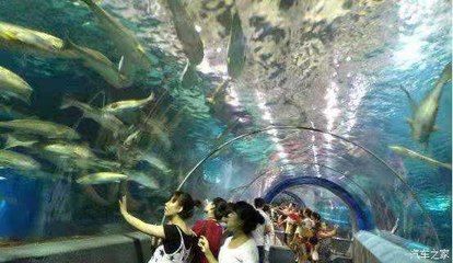 秦皇島水族館vs祥龍魚場(chǎng)（秦皇島水族館與祥龍魚場(chǎng)的區(qū)別） 全國(guó)水族館企業(yè)名錄 第3張