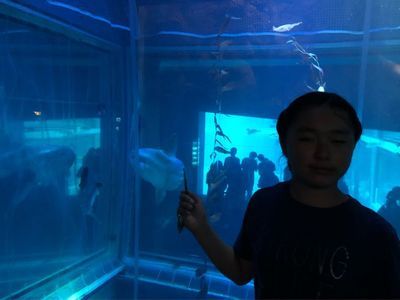 保山水族館vs祥龍魚場（保山水族館和祥龍魚場各有其特點和優(yōu)勢） 全國水族館企業(yè)名錄 第2張