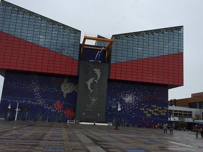 保山水族館vs祥龍魚場（保山水族館和祥龍魚場各有其特點和優(yōu)勢） 全國水族館企業(yè)名錄 第5張