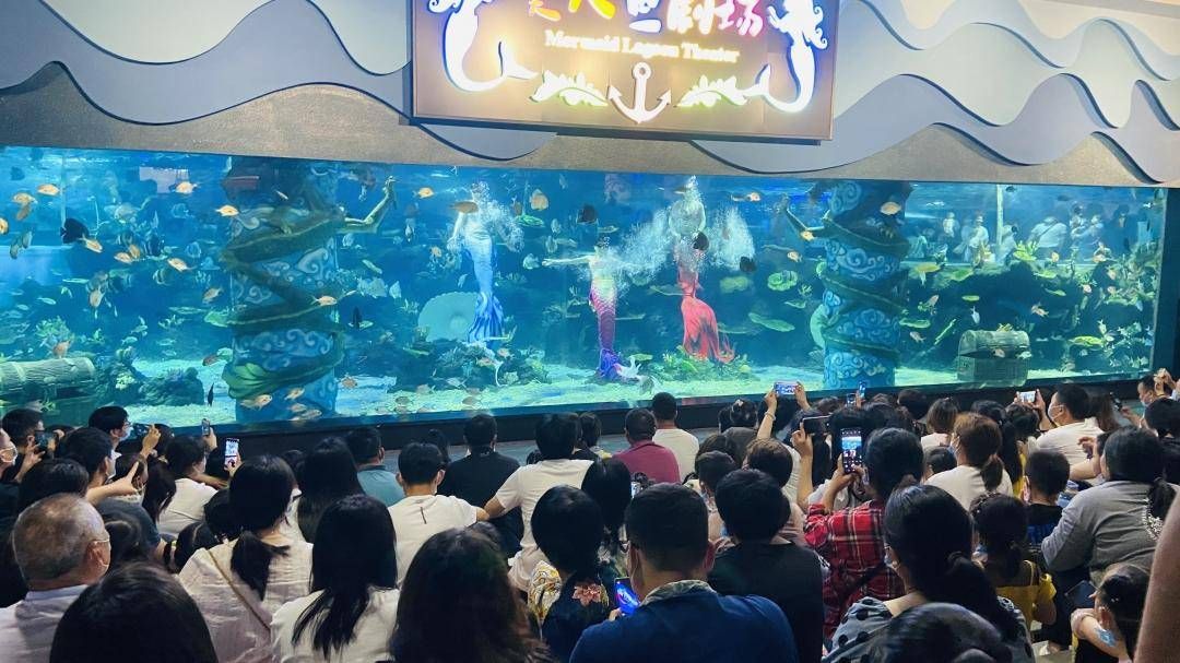 周口水族館vs祥龍魚場（周口水族館和祥龍魚場） 全國水族館企業(yè)名錄 第1張