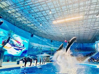 周口水族館vs祥龍魚場（周口水族館和祥龍魚場） 全國水族館企業(yè)名錄 第4張