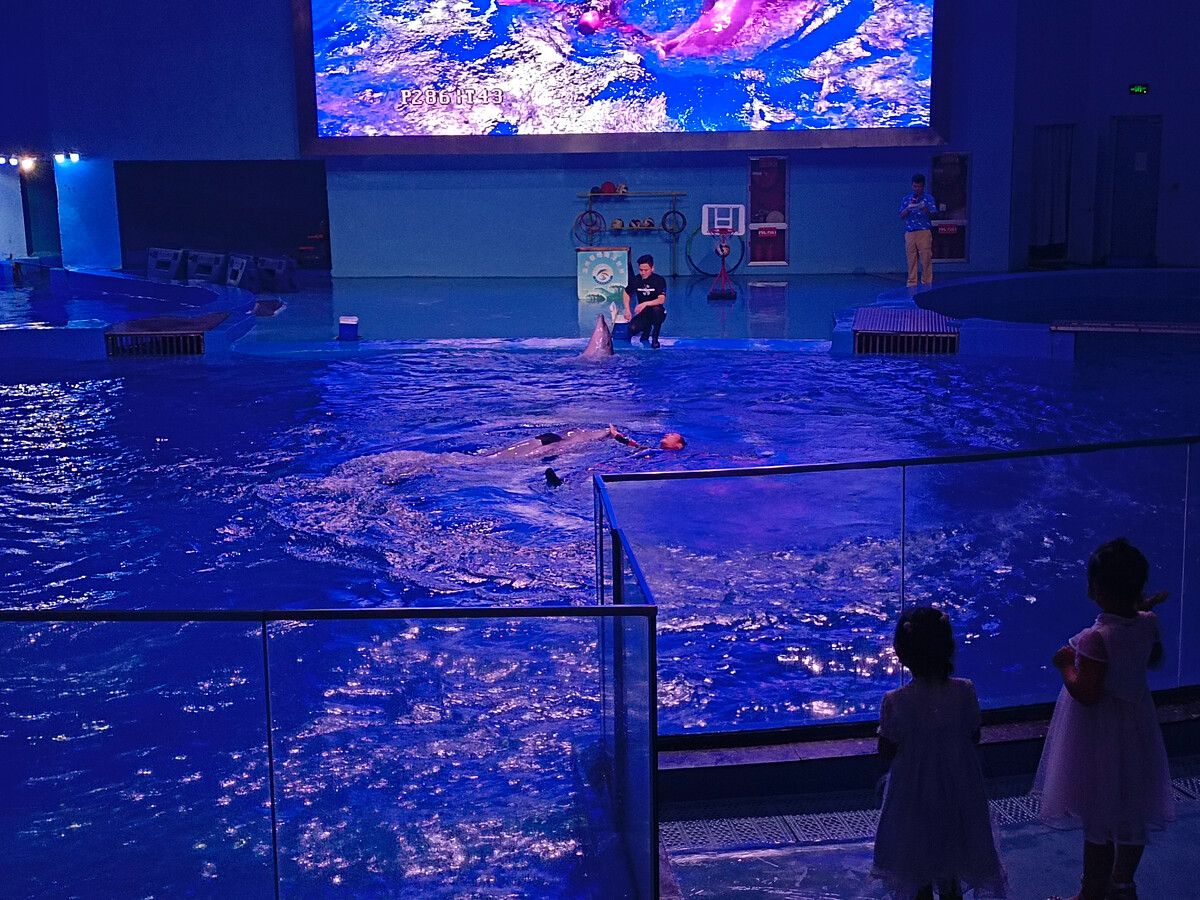 溫州水族館vs祥龍魚場(chǎng)（探討溫州水族館與祥龍魚場(chǎng)之間的差異之前，我們需要明確基本信息） 全國(guó)水族館企業(yè)名錄 第5張