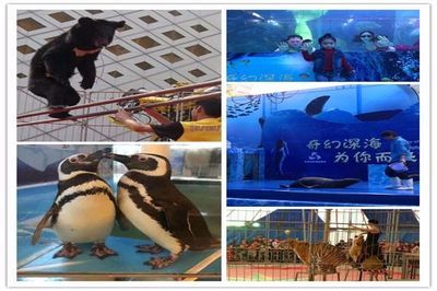 濟(jì)寧水族館vs祥龍魚場（探討濟(jì)寧水族館與祥龍魚場之間的差異之前需要明確兩者的基本信息） 全國水族館企業(yè)名錄 第1張