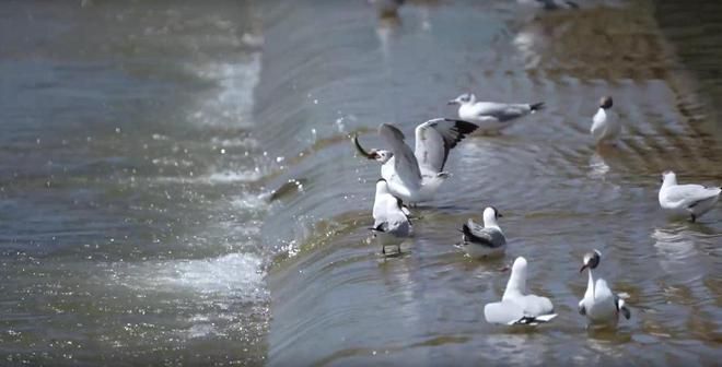 海北藏族自治州水族館vs祥龍魚場(chǎng)（海北藏族自治州水族館的信息在搜索結(jié)果中未直接提及） 全國(guó)水族館企業(yè)名錄 第3張