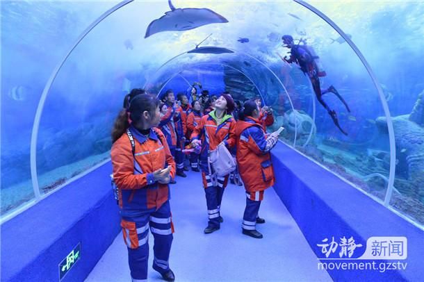 來賓水族館vs祥龍魚場（來賓水族館與祥龍魚場的區(qū)別） 全國水族館企業(yè)名錄 第3張