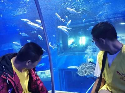 包頭水族館vs祥龍魚場（包頭水族館與祥龍魚場各有特色）