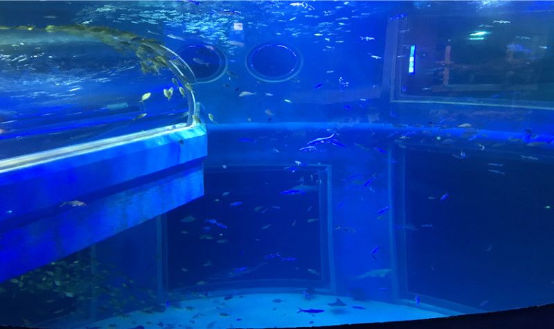 包頭水族館vs祥龍魚場（包頭水族館與祥龍魚場各有特色）