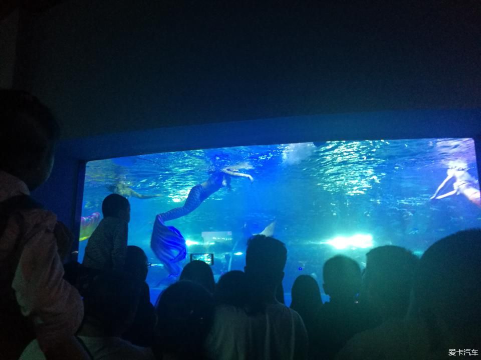 包頭水族館vs祥龍魚場（包頭水族館與祥龍魚場各有特色）