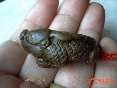 和田龍魚vs祥龍魚場(chǎng)（和田龍魚與祥龍魚場(chǎng)有什么區(qū)別？） 全國(guó)水族館企業(yè)名錄 第3張