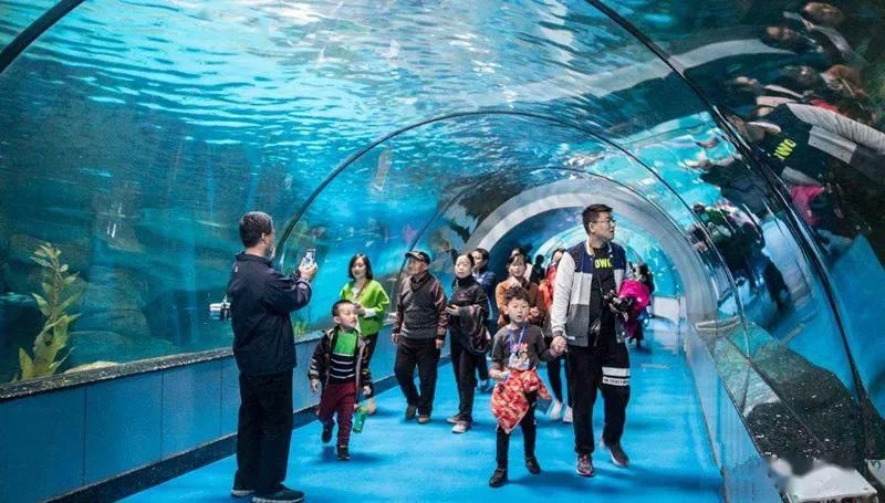 開封水族館vs祥龍魚場（開封水族館和祥龍魚場有什么關(guān)系，開封水族館和祥龍魚場有關(guān)） 全國水族館企業(yè)名錄 第4張