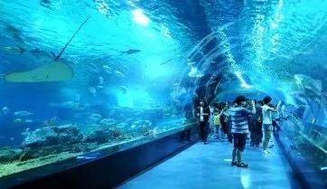 開封水族館vs祥龍魚場（開封水族館和祥龍魚場有什么關(guān)系，開封水族館和祥龍魚場有關(guān)） 全國水族館企業(yè)名錄 第5張