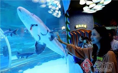 攀枝花水族館vs祥龍魚場（攀枝花水族館位于四川省攀枝花市） 全國水族館企業(yè)名錄 第2張