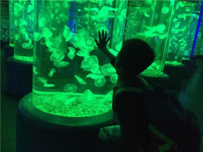 畢節(jié)水族館vs祥龍魚場（畢節(jié)水族館與祥龍魚場） 全國水族館企業(yè)名錄 第1張