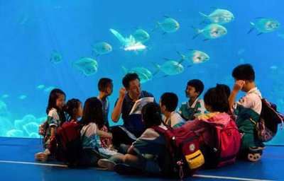 畢節(jié)水族館vs祥龍魚場（畢節(jié)水族館與祥龍魚場）