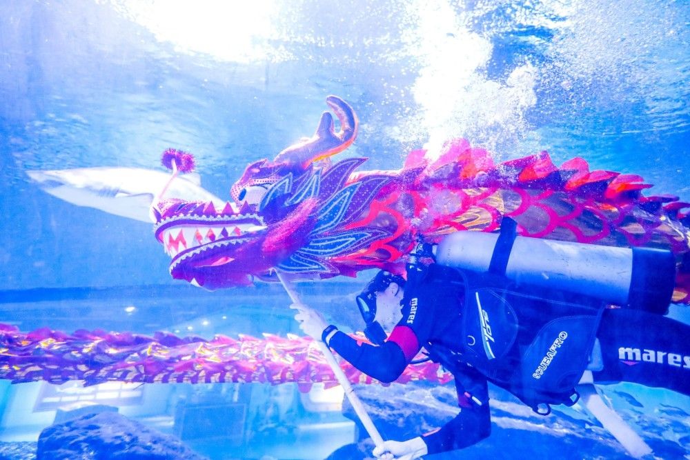 塔城水族館vs祥龍魚(yú)場(chǎng)（塔城水族館和祥龍魚(yú)場(chǎng)哪個(gè)好） 全國(guó)水族館企業(yè)名錄 第4張