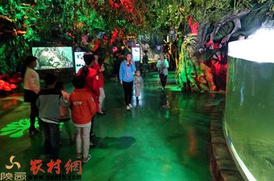 臨潼水族館vs祥龍魚場（臨潼水族館與祥龍魚場有什么區(qū)別？） 全國水族館企業(yè)名錄 第2張